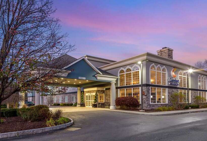 Отель Comfort Inn & Suites East Greenbush Albany