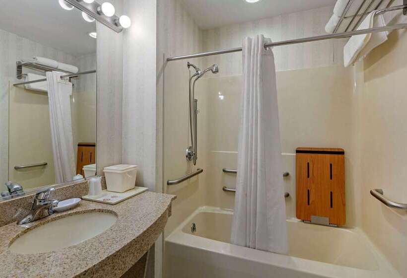 Отель Comfort Inn & Suites East Greenbush Albany