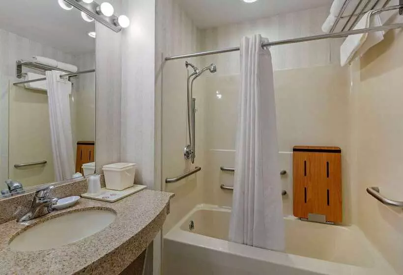 ホテル Comfort Inn & Suites East Greenbush Albany