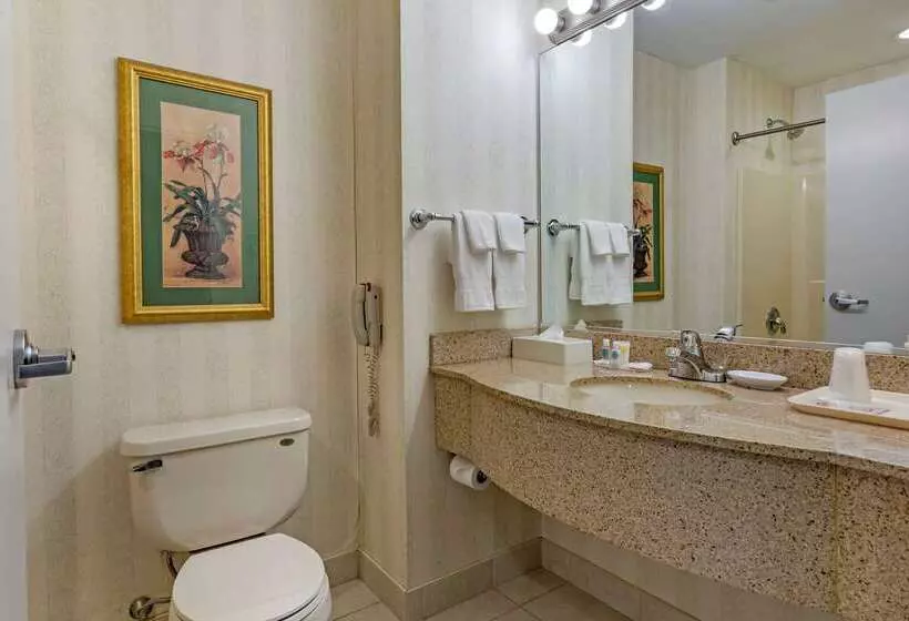 ホテル Comfort Inn & Suites East Greenbush Albany