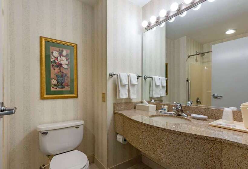 Отель Comfort Inn & Suites East Greenbush Albany