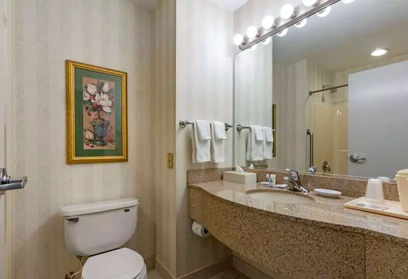 ホテル Comfort Inn & Suites East Greenbush Albany