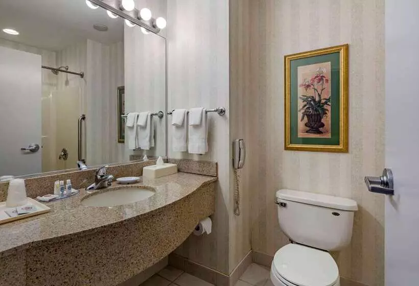 ホテル Comfort Inn & Suites East Greenbush Albany