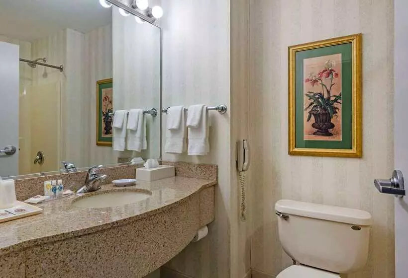 ホテル Comfort Inn & Suites East Greenbush Albany