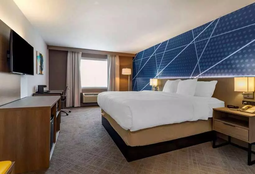 ホテル Comfort Inn & Suites East Greenbush Albany