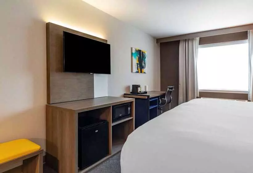 ホテル Comfort Inn & Suites East Greenbush Albany