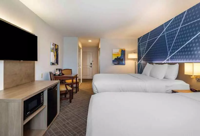 ホテル Comfort Inn & Suites East Greenbush Albany