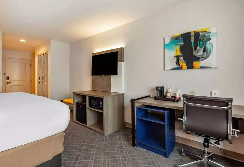 ホテル Comfort Inn & Suites East Greenbush Albany