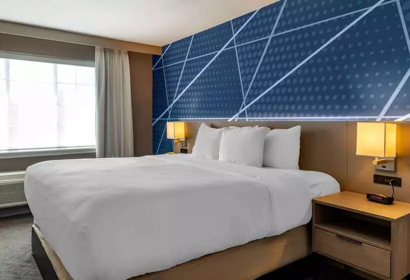 ホテル Comfort Inn & Suites East Greenbush Albany