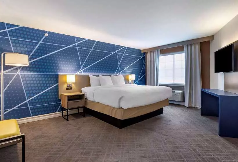 ホテル Comfort Inn & Suites East Greenbush Albany