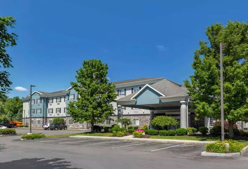 ホテル Comfort Inn & Suites East Greenbush Albany