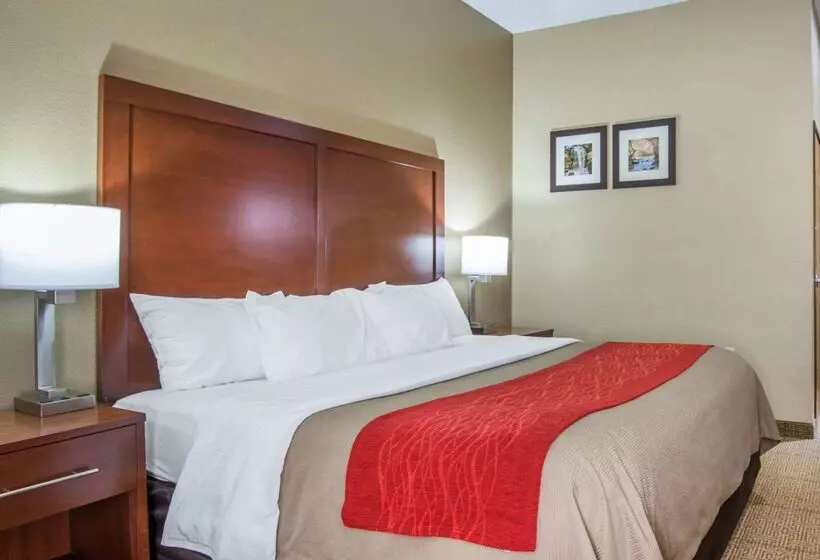فندق Comfort Inn Grain Valley   Kansas City