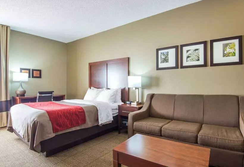 فندق Comfort Inn Grain Valley   Kansas City
