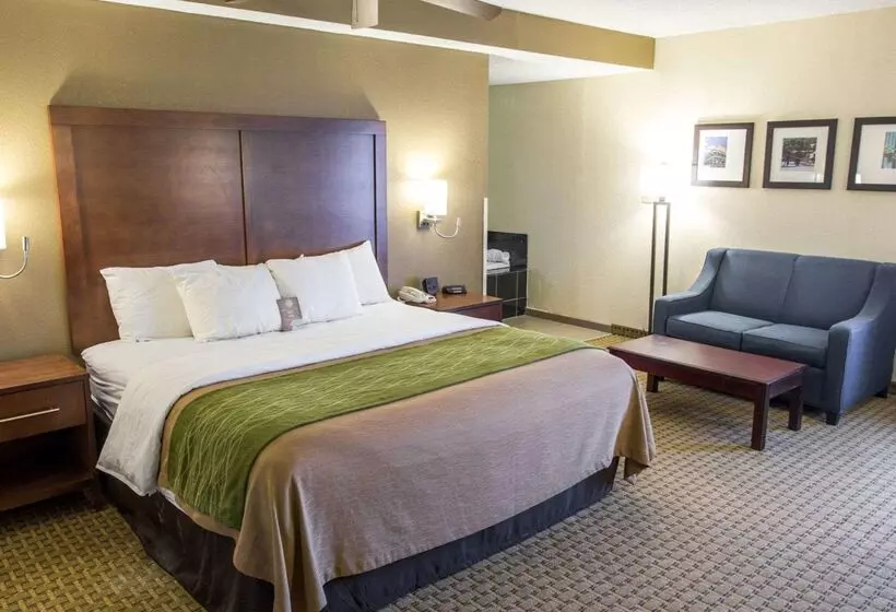 酒店 Comfort Inn Hammond