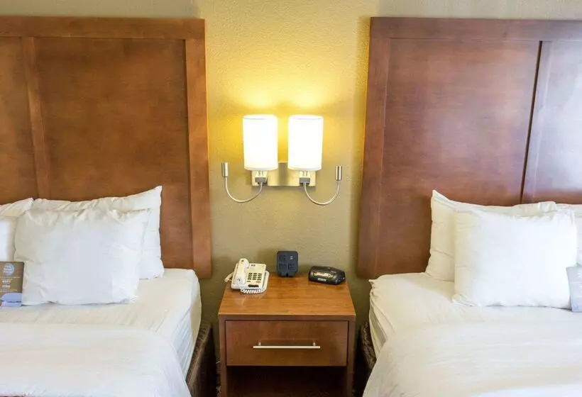 酒店 Comfort Inn Hammond