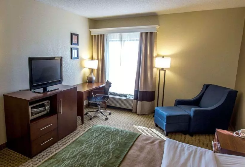 酒店 Comfort Inn Hammond