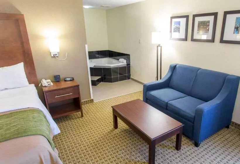 酒店 Comfort Inn Hammond