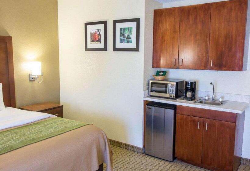 酒店 Comfort Inn Hammond