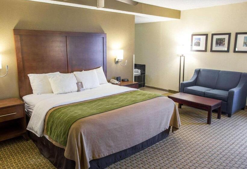 酒店 Comfort Inn Hammond