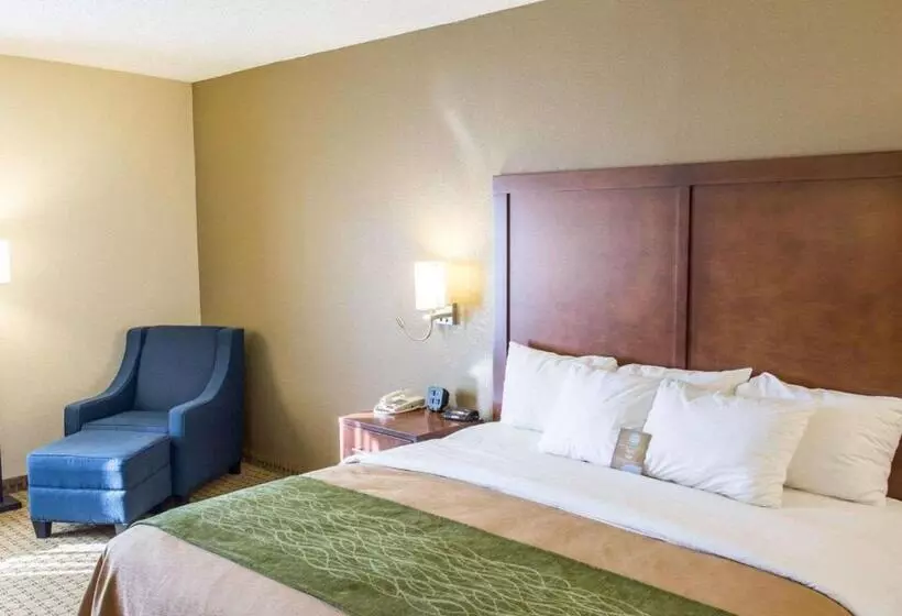 酒店 Comfort Inn Hammond