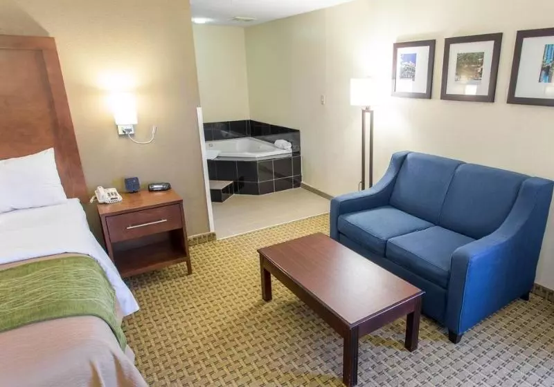 酒店 Comfort Inn Hammond