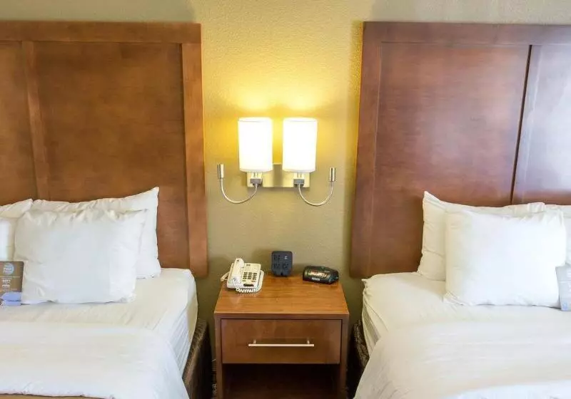 酒店 Comfort Inn Hammond