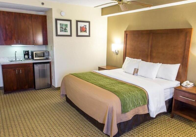 酒店 Comfort Inn Hammond