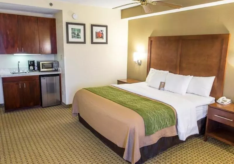 酒店 Comfort Inn Hammond