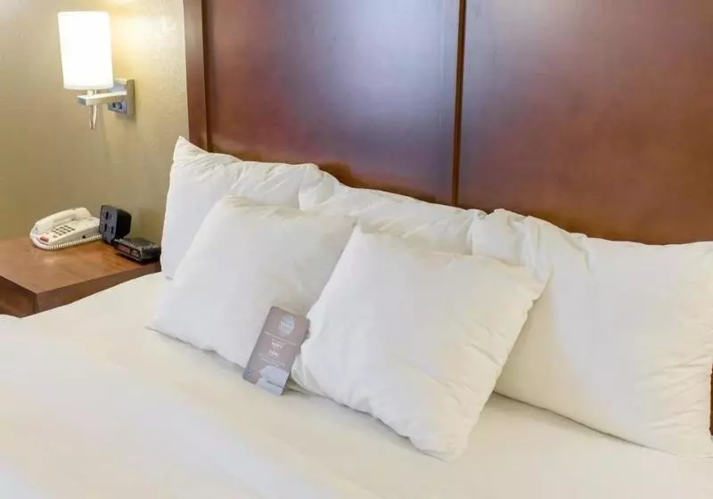 酒店 Comfort Inn Hammond