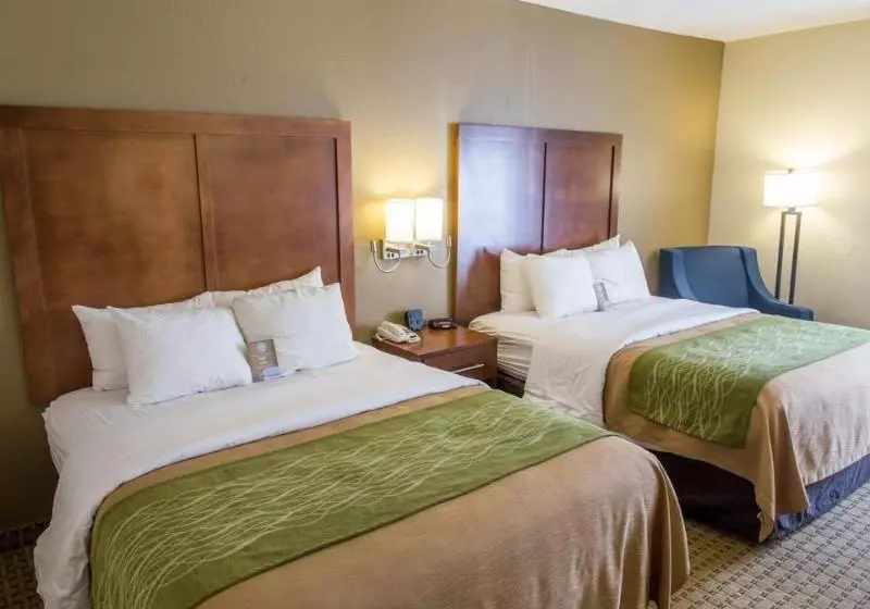 酒店 Comfort Inn Hammond