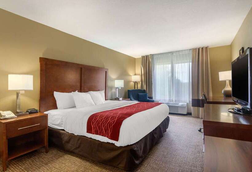 ホテル Comfort Inn & Suites