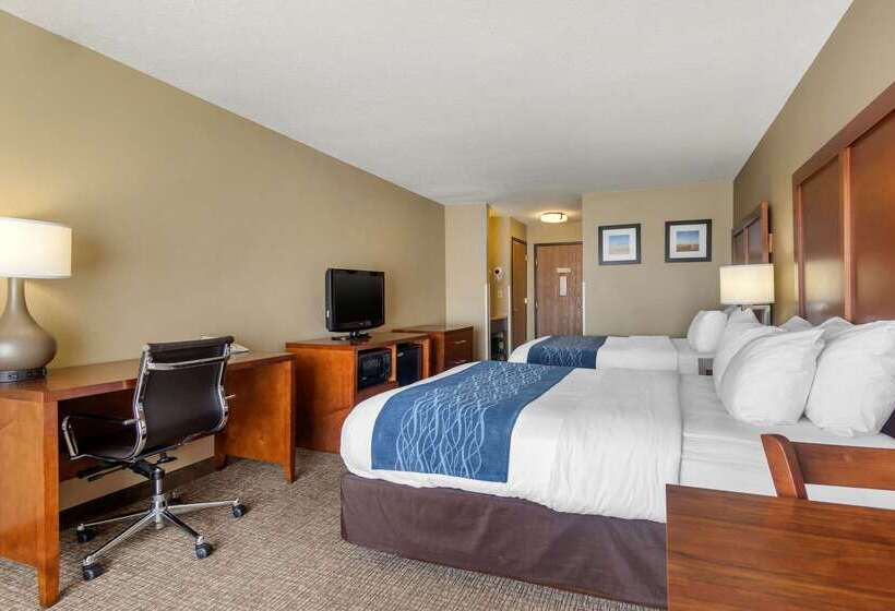 ホテル Comfort Inn & Suites