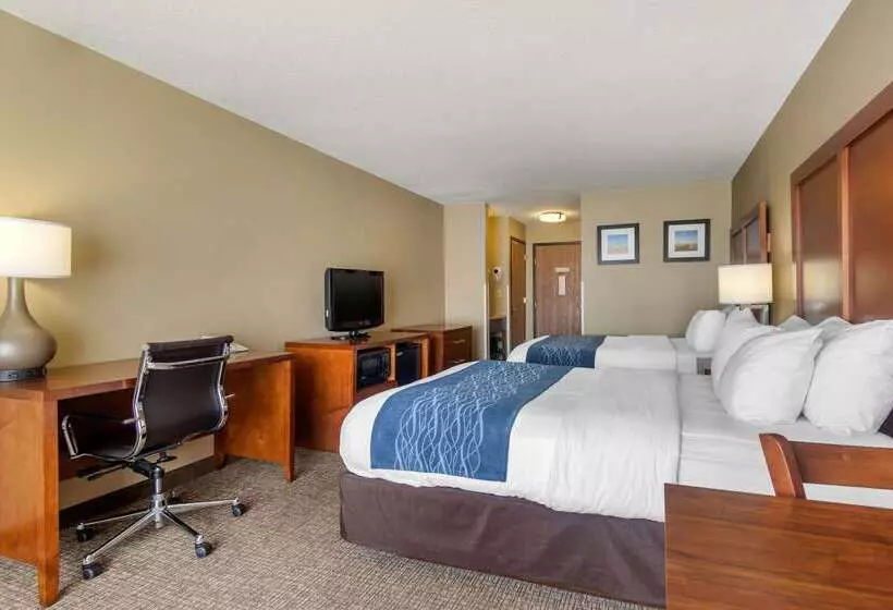 호텔 Comfort Inn & Suites