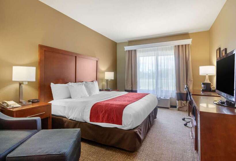 ホテル Comfort Inn & Suites