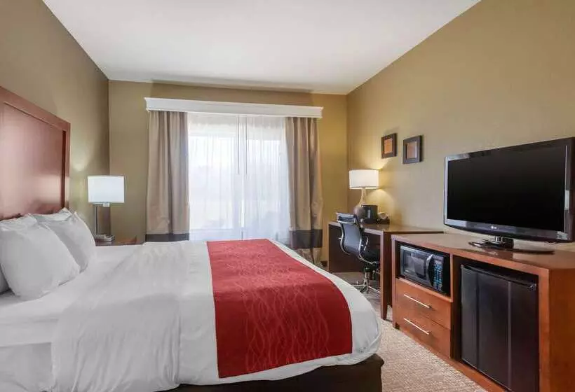 호텔 Comfort Inn & Suites