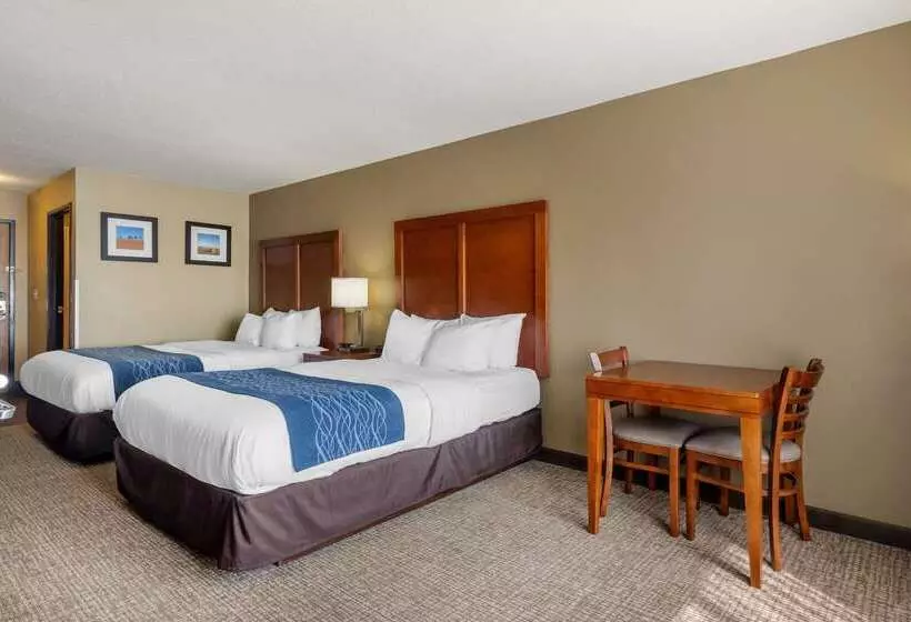 호텔 Comfort Inn & Suites