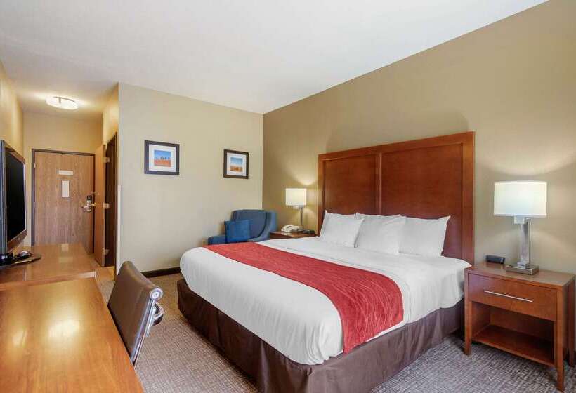 ホテル Comfort Inn & Suites