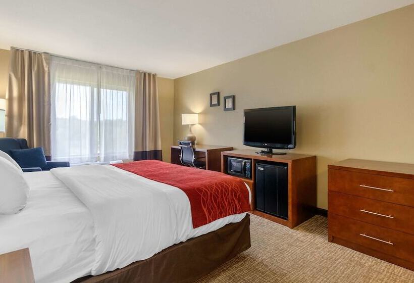 ホテル Comfort Inn & Suites