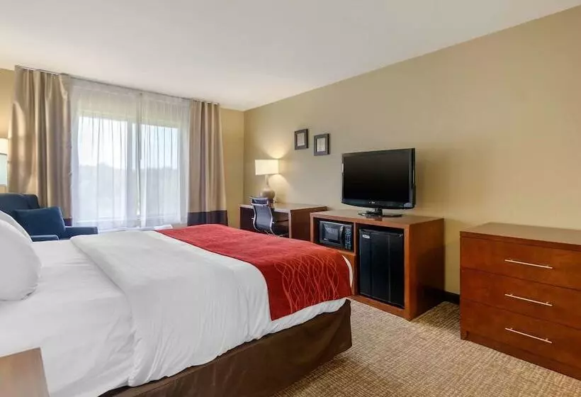 호텔 Comfort Inn & Suites