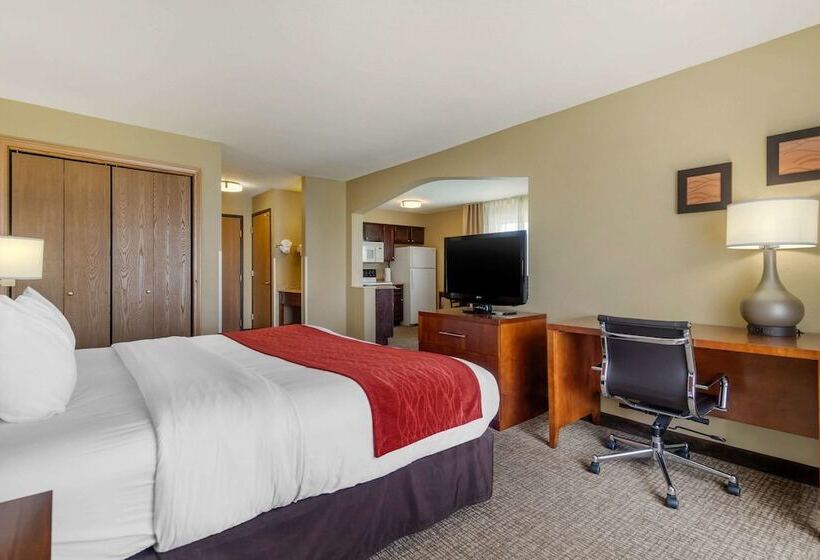 ホテル Comfort Inn & Suites