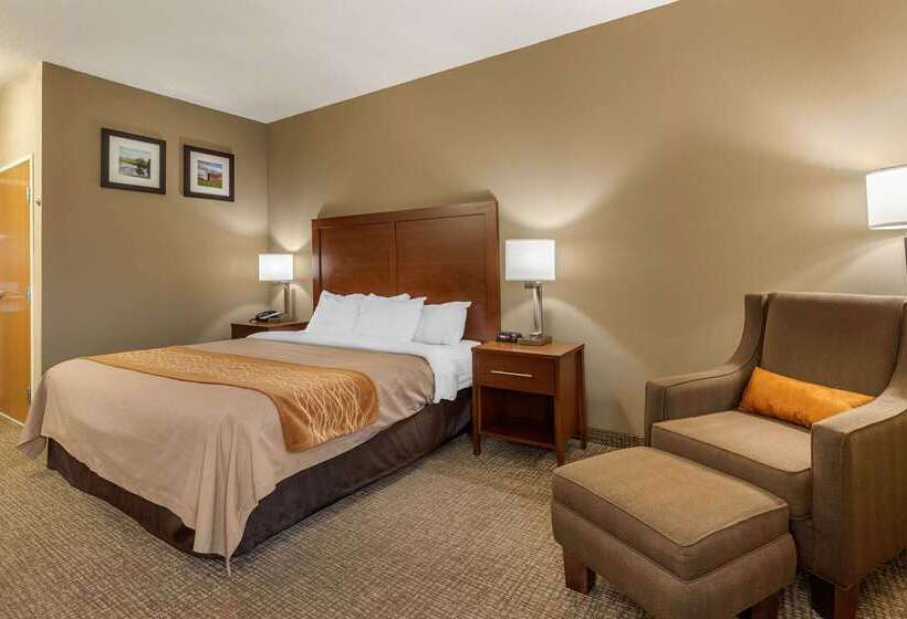 فندق Comfort Inn Walcott Near Davenport