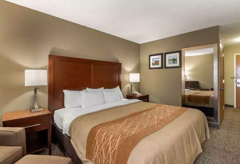 酒店 Comfort Inn Walcott Near Davenport