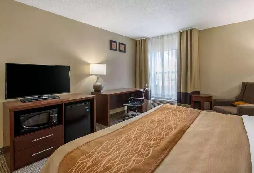 酒店 Comfort Inn Walcott Near Davenport