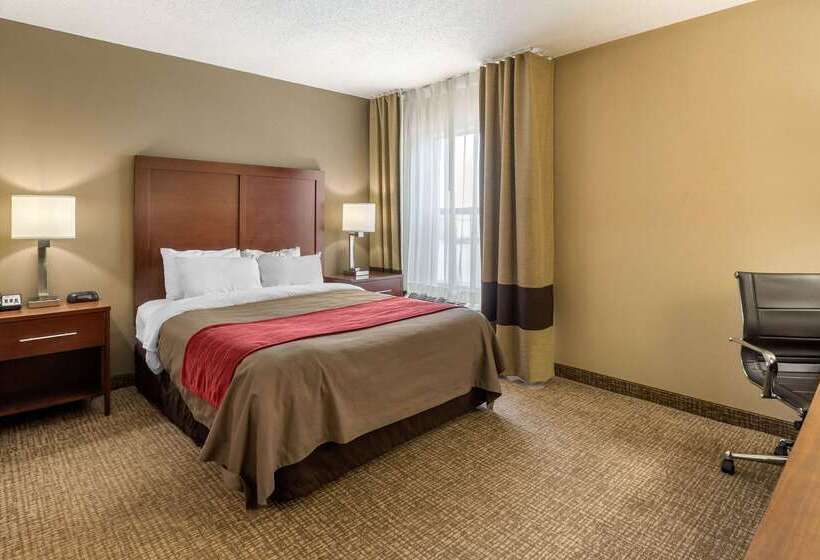 فندق Comfort Inn Walcott Near Davenport