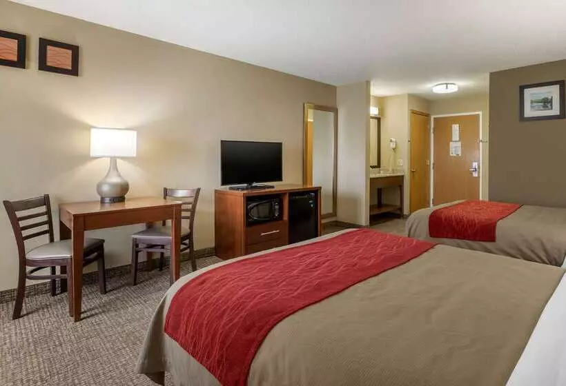 酒店 Comfort Inn Walcott Near Davenport