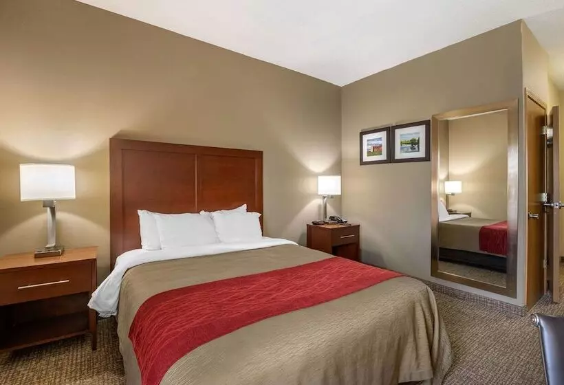 酒店 Comfort Inn Walcott Near Davenport