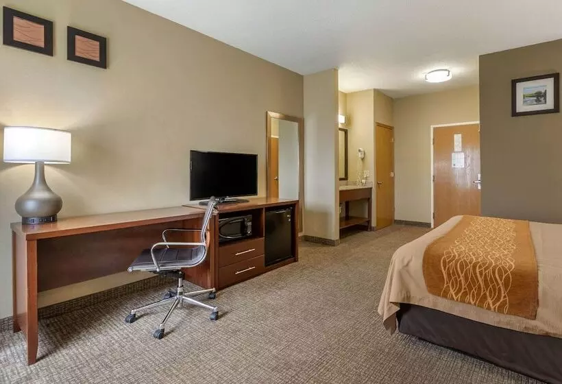 酒店 Comfort Inn Walcott Near Davenport