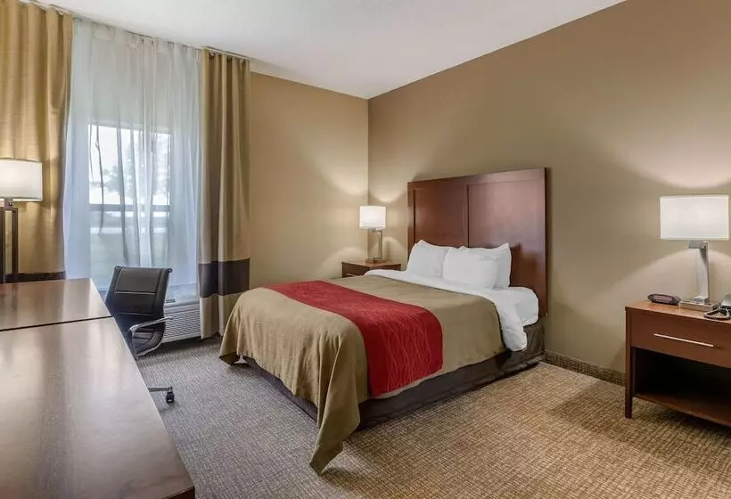 酒店 Comfort Inn Walcott Near Davenport