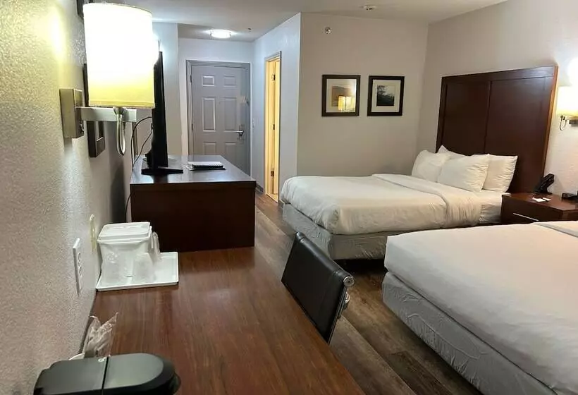 ホテル Comfort Inn  Wytheville Fort Chiswell