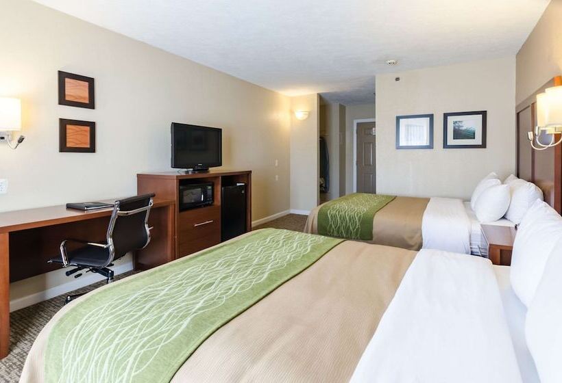 酒店 Comfort Inn  Wytheville Fort Chiswell